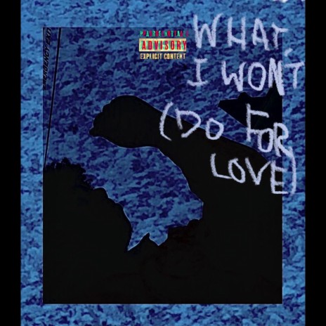 WHAT I WON'T (DO FOR LOVE)