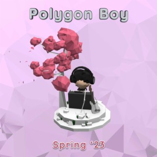 Polygon Boy