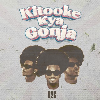 Kitooke Kyagonja (Special version) lyrics | Boomplay Music