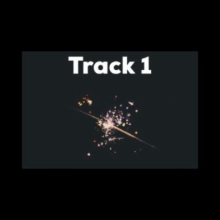 Track 1