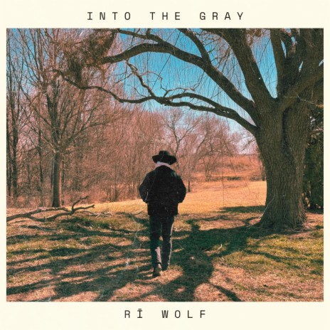 Into The Gray | Boomplay Music
