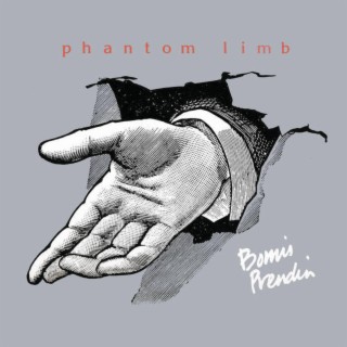 Phantom Limb