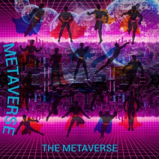 THE METAVERSE