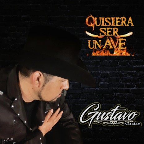 Quisiera Ser Un Ave | Boomplay Music