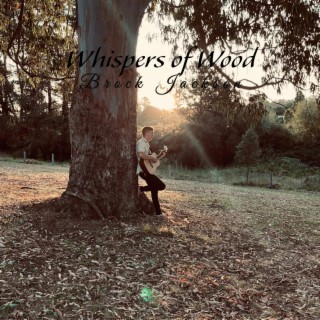 Whispers of wood