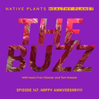The Buzz - Happy Anniversary!!!