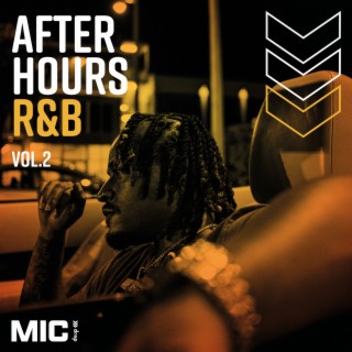 After Hours Vol. 2
