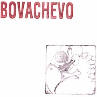 Bovachevo