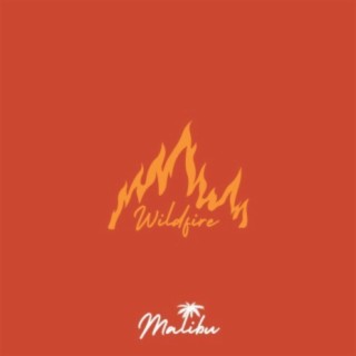 WILDFIRE