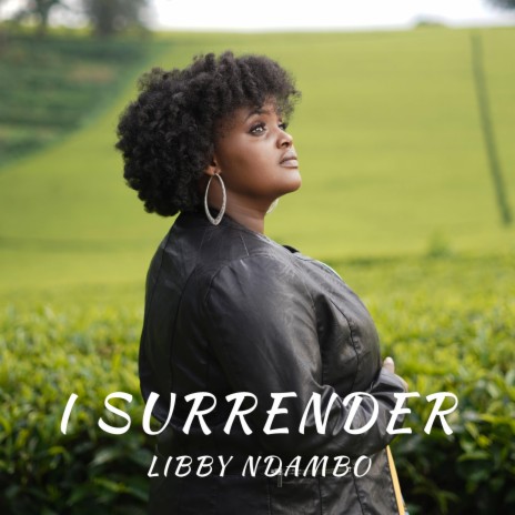 I Surrender | Boomplay Music