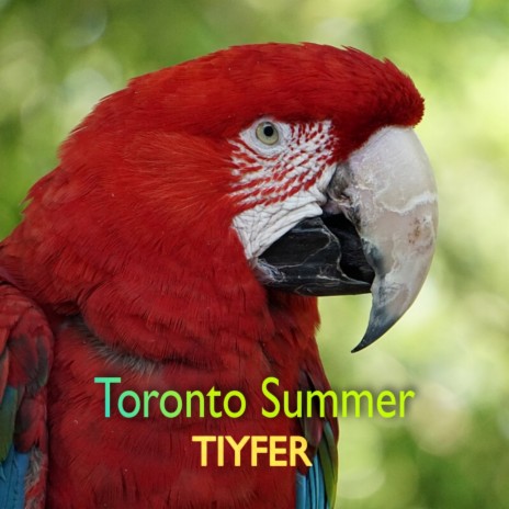 Toronto Summer | Boomplay Music