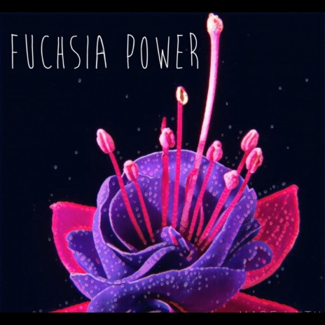 Fuchsia Power | Boomplay Music