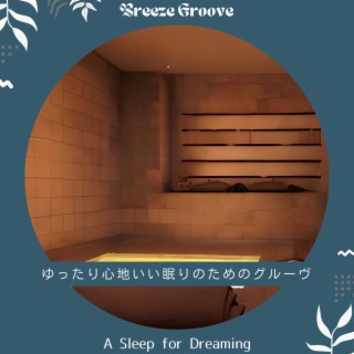ゆったり心地いい眠りのためのグルーヴ - A Sleep for Dreaming