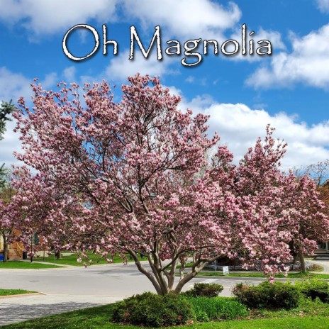 Oh Magnolia (Live) | Boomplay Music