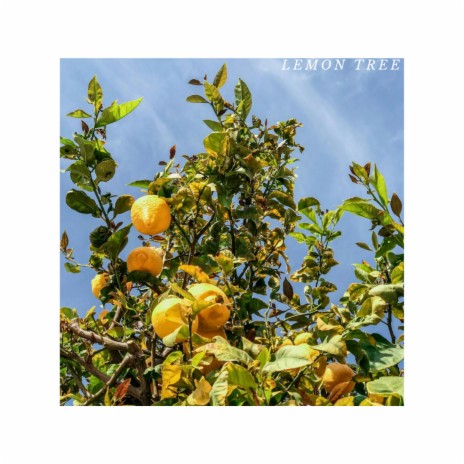 lemon tree | Boomplay Music