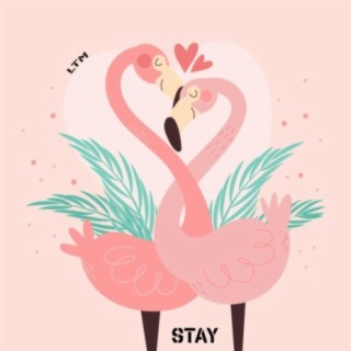 Stay