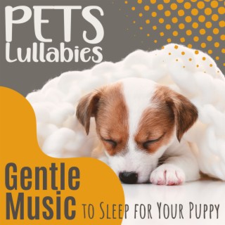 Pets Lullabies - Gentle Music to Sleep for Your Puppy