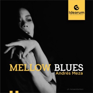 Mellow Blues (Elegant Blues Guitar Instrumental)