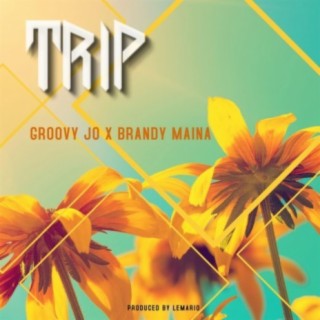 Trip (feat. Brandy Maina)