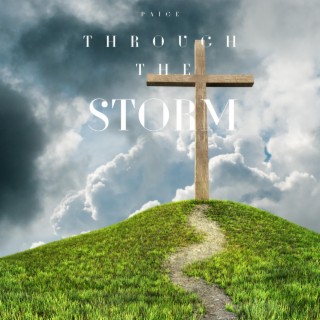 Through The Storm lyrics | Boomplay Music