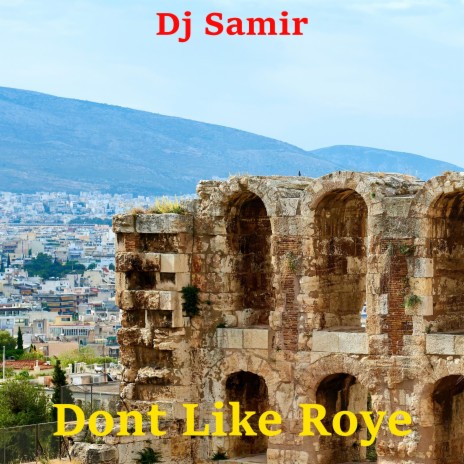 Dont Like Roye | Boomplay Music