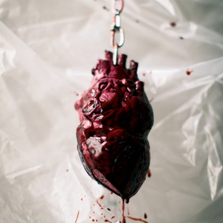 Heart Skelton