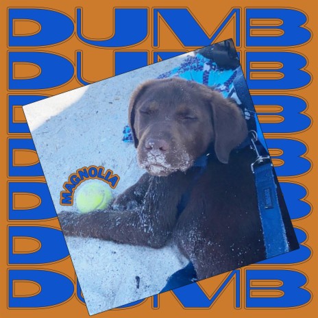 Dumb | Boomplay Music