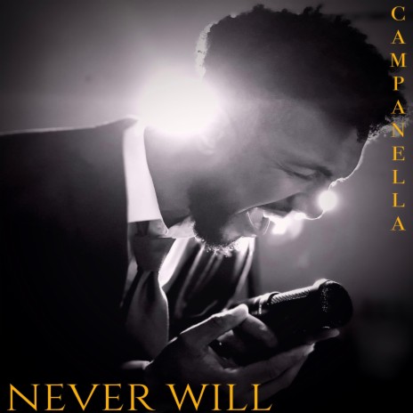 Never Will | Boomplay Music