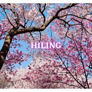 Hiling