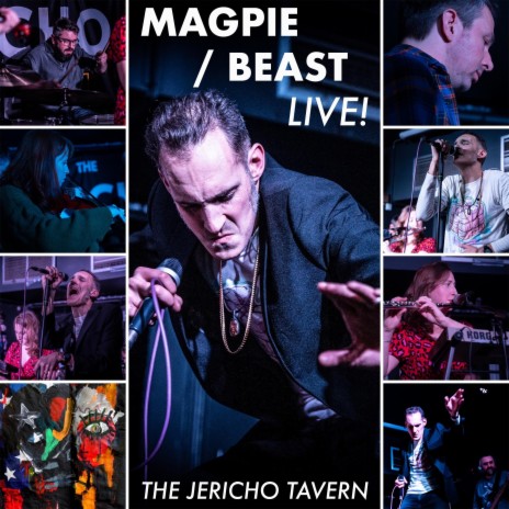 Magpie (Live at Jericho Tavern) | Boomplay Music