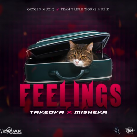 Feelings ft. Misheka | Boomplay Music