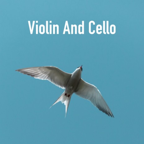 Solo Violin