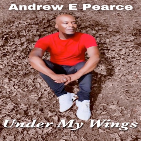 Under My Wings | Boomplay Music