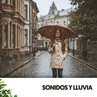 Sonidos y Lluvia: Para el alma