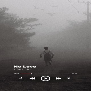 No Love