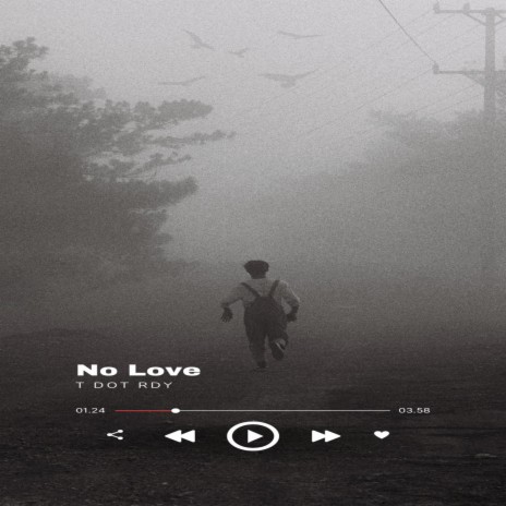 No Love | Boomplay Music