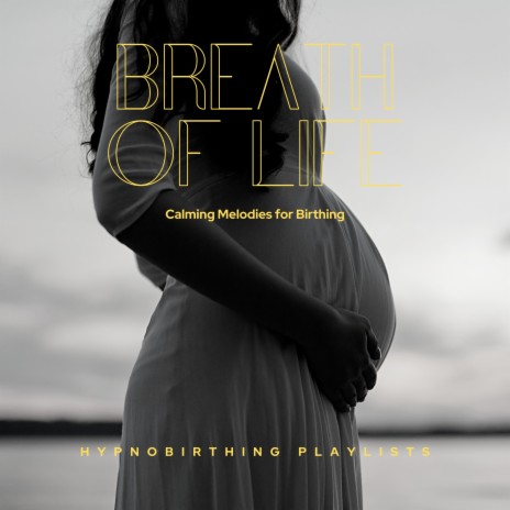 Pregnancy Relaxation | Boomplay Music