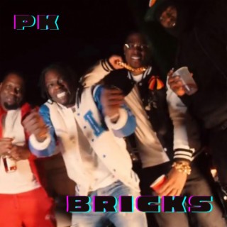 BRICKS