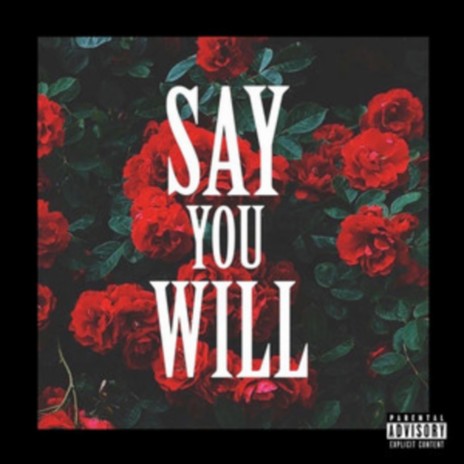 Say You Will (Radio Edit) | Boomplay Music