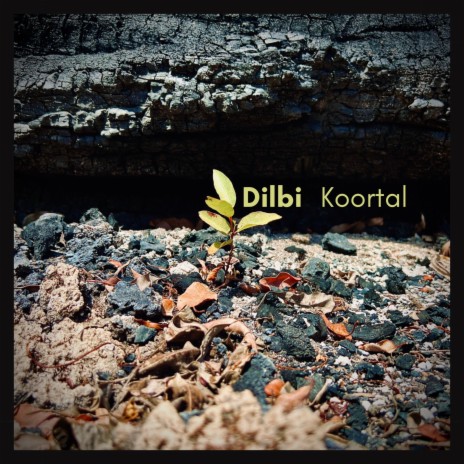 Dilbi | Boomplay Music