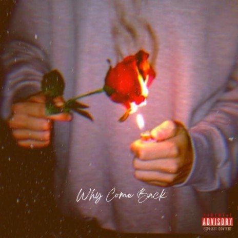 Why Come Back | Boomplay Music