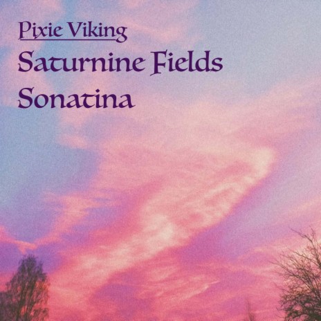 Saturnine Fields | Boomplay Music