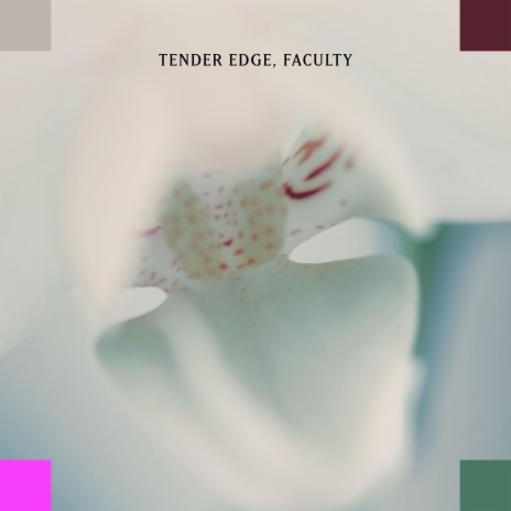 Tender Edge | Boomplay Music