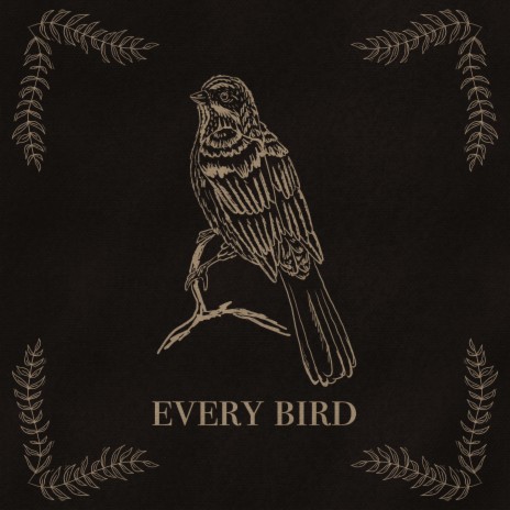 Every Bird | Boomplay Music