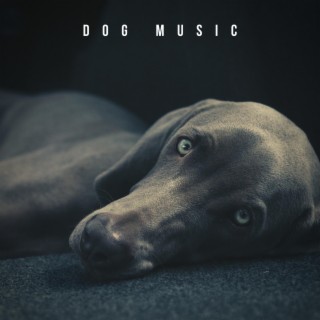 Songs For Dogs