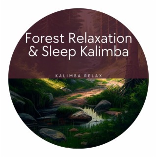 Forest Relaxation & Sleep Kalimba