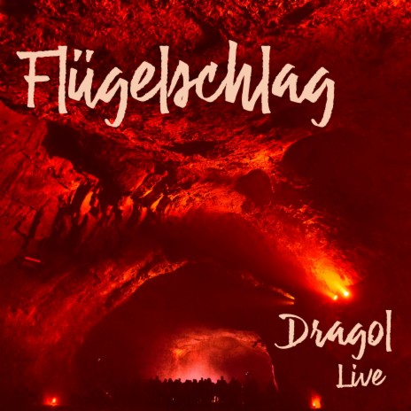 Flügelschlag (Live) | Boomplay Music