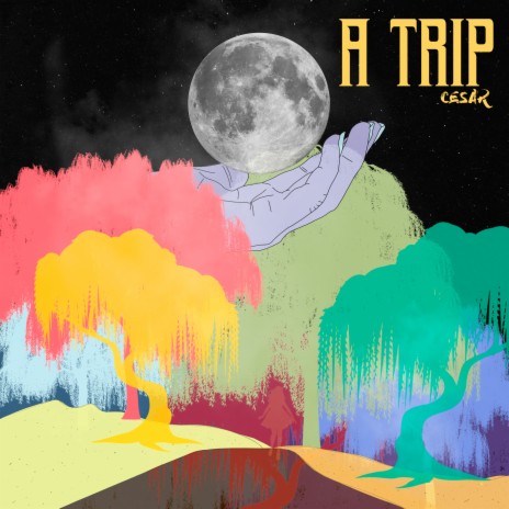 A Trip | Boomplay Music