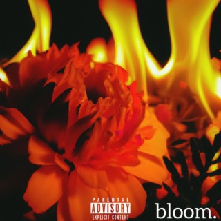 bloom.