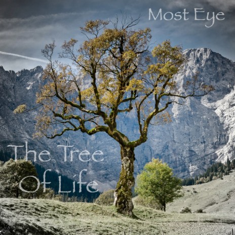 The Tree of Life | Boomplay Music